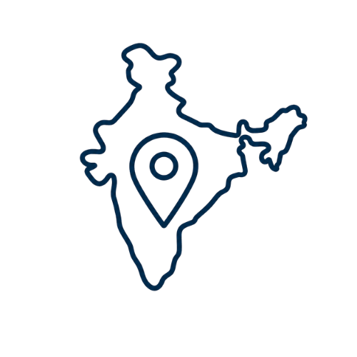 India market entry icon